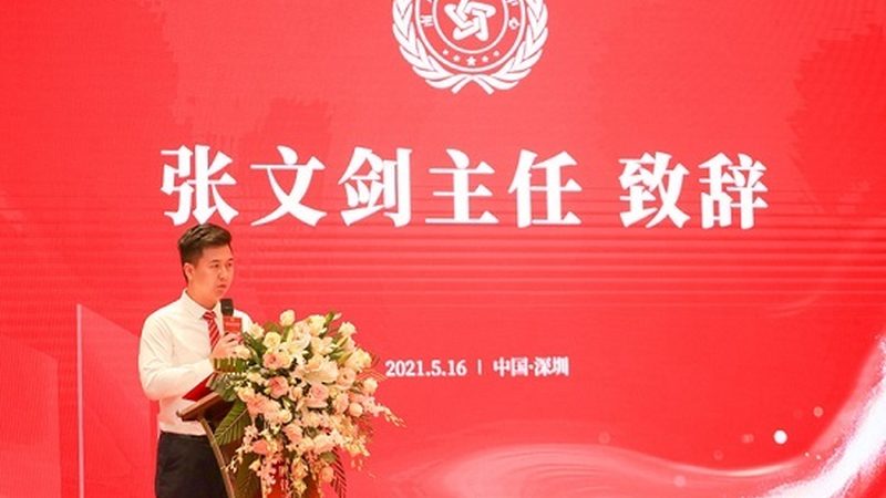 VI设计效果图尺寸参数解析：标准与技巧